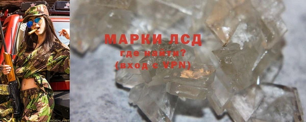ешки Аркадак
