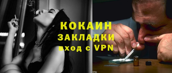 прущая мука Арсеньев