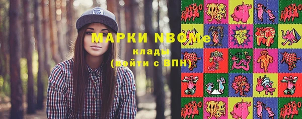ешки Аркадак