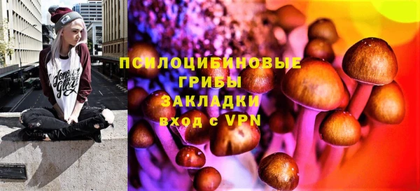 ешки Аркадак