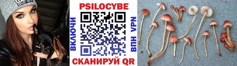 Псилоцибиновые грибы Magic Shrooms  наркошоп  мориарти какой сайт  Балтийск 