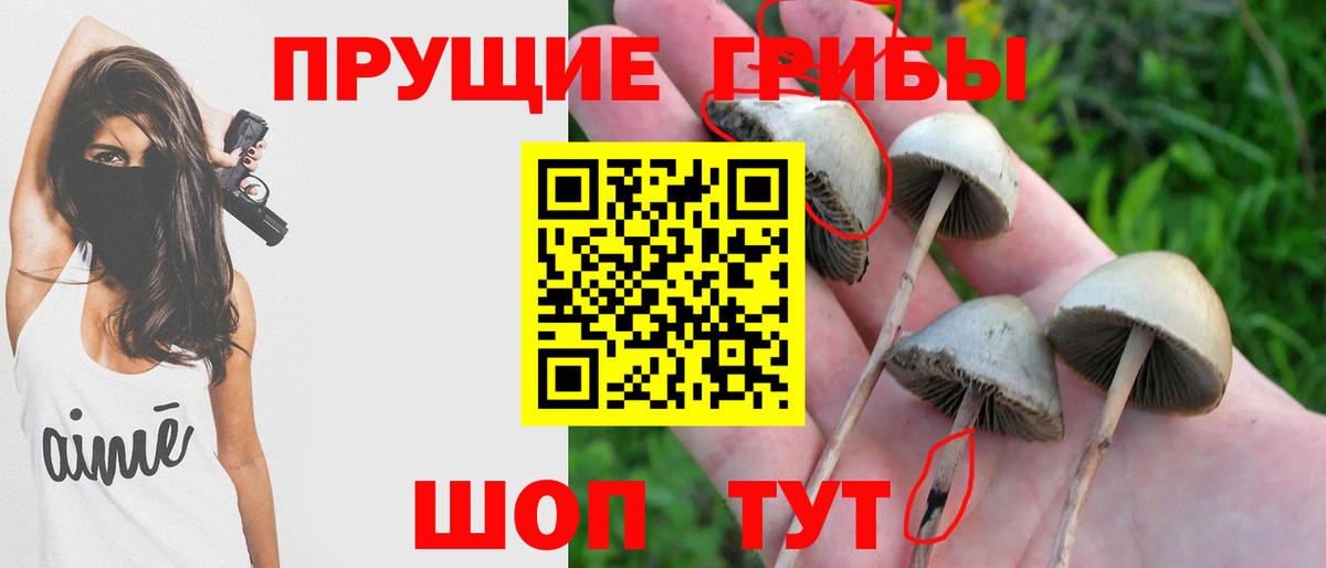 Галлюциногенные грибы мухоморы  Псилоцибиновые грибы Cubensis  Вход с VPN  Балтийск 