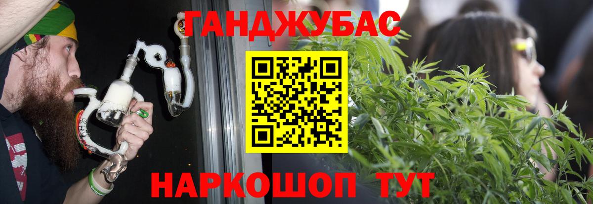 Конопля сатива Балтийск
